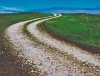 Highly Commended: Robert Mercer, 'Road to Rathlin'